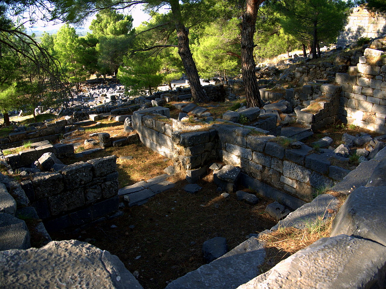 Priene